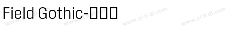 Field Gothic字体转换